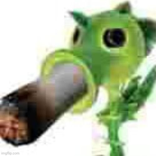 fastR-