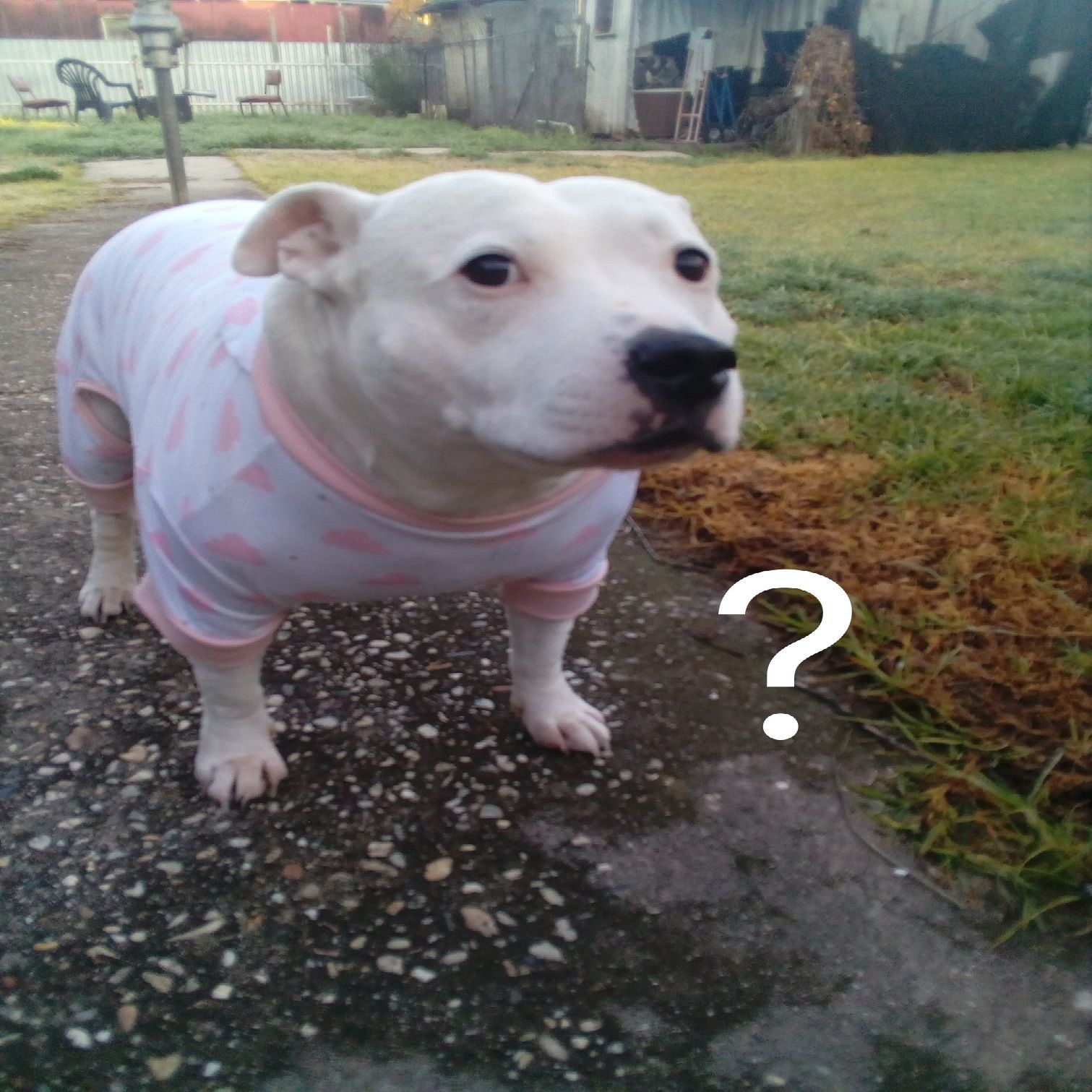 siko