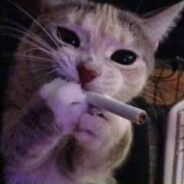 mew2K