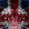 BamBamCS