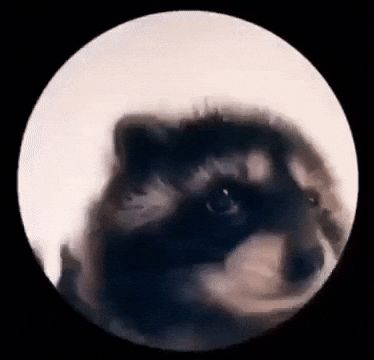 h7-
