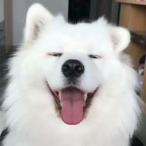_GodPrince_